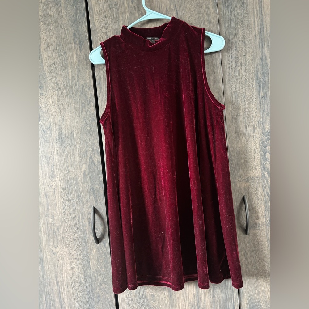 Sleeveless Velvet Dress in Deep Red